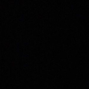 Meet your Posher, Riley